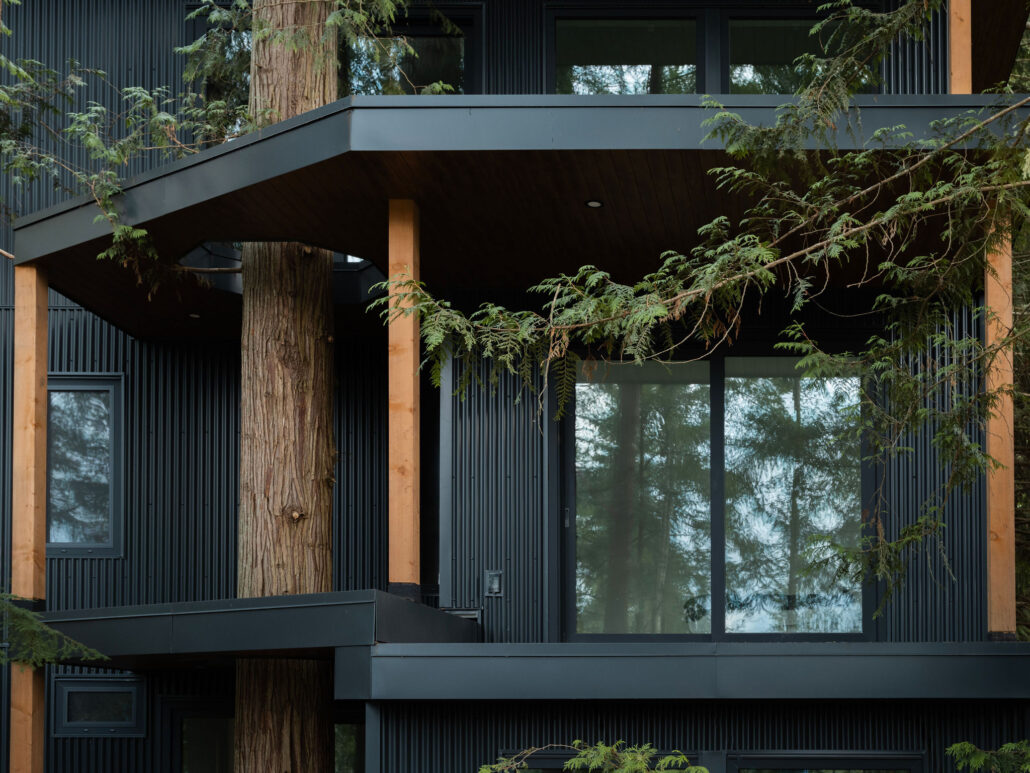 house with trees