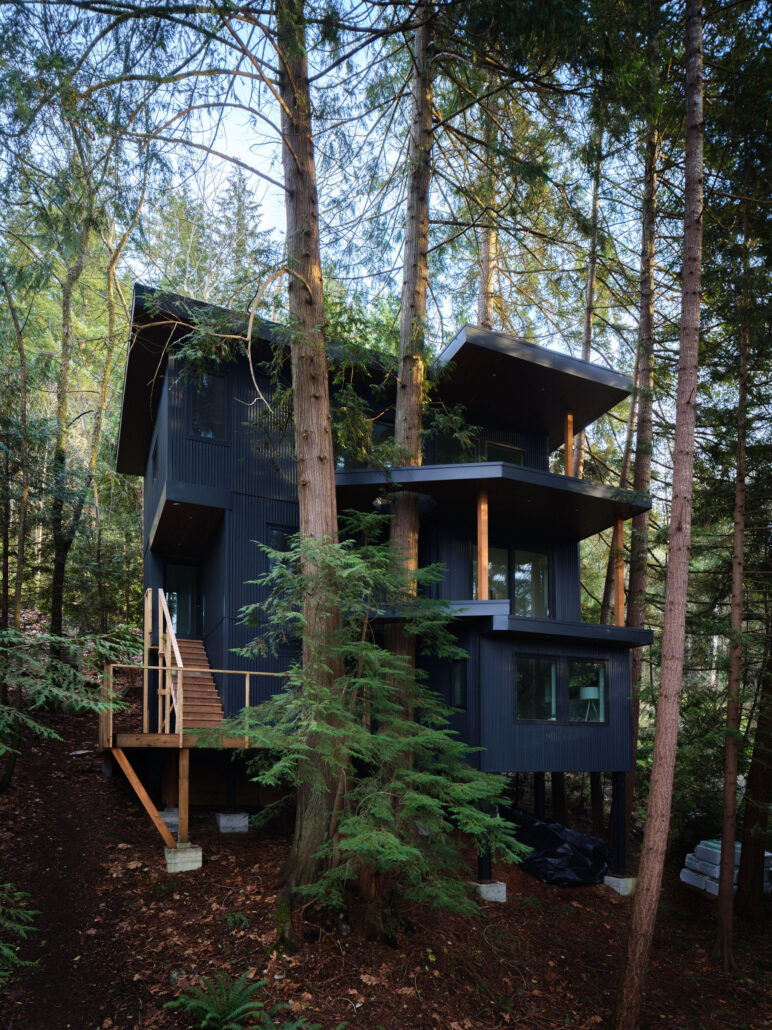 house in trees