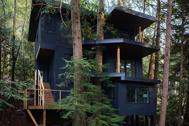the treehouse before and after slider - reality